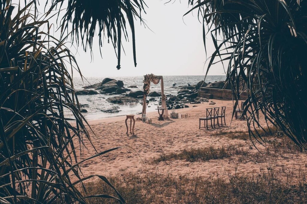 Ile od talerzyka na wesele powinno się przewidzieć